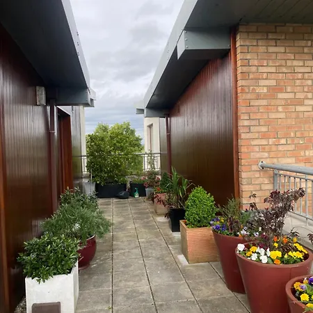 Peace In The Hills * Dublin